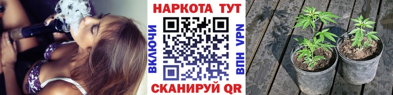 Магазин наркотиков Щёкино Лсд 25 Кокаин ГАШИШ МАРИХУАНА СК