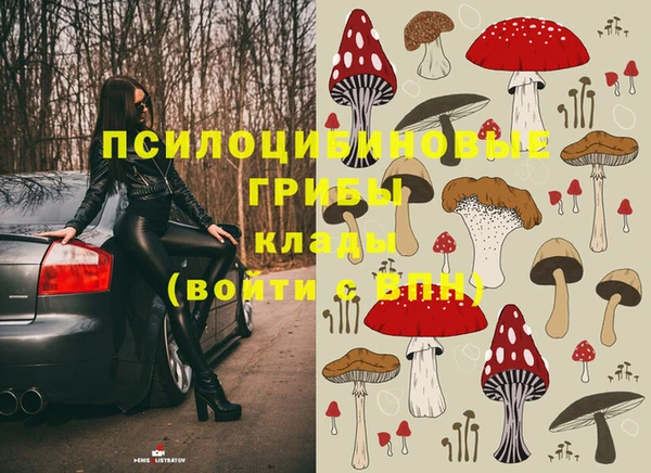 бошки Алексеевка