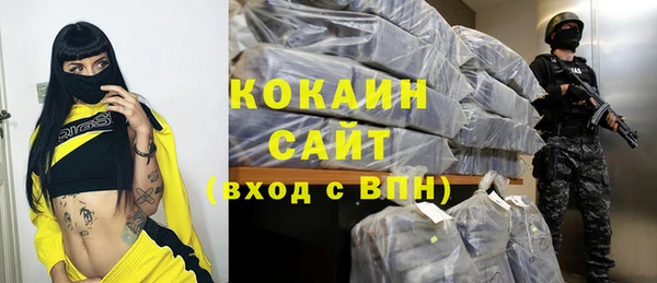 индика Абаза