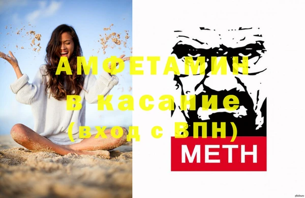 индика Абаза