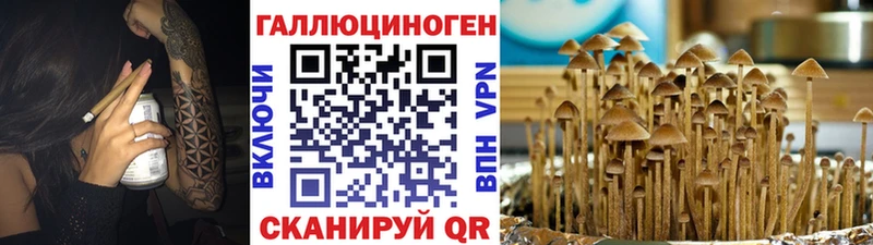 Галлюциногенные грибы Magic Shrooms  Щёкино 